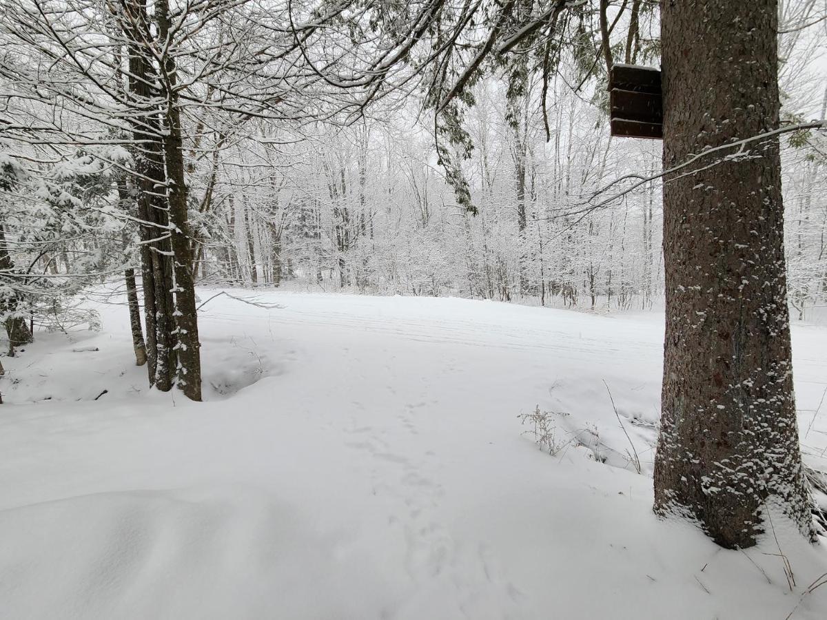 Ski In/Out Spruce Glen Townhomes On Great Eastern Trail 基灵顿 外观 照片