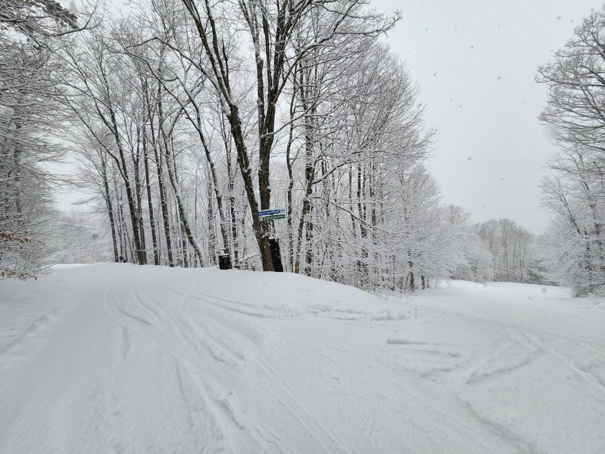 Ski In/Out Spruce Glen Townhomes On Great Eastern Trail 基灵顿 外观 照片