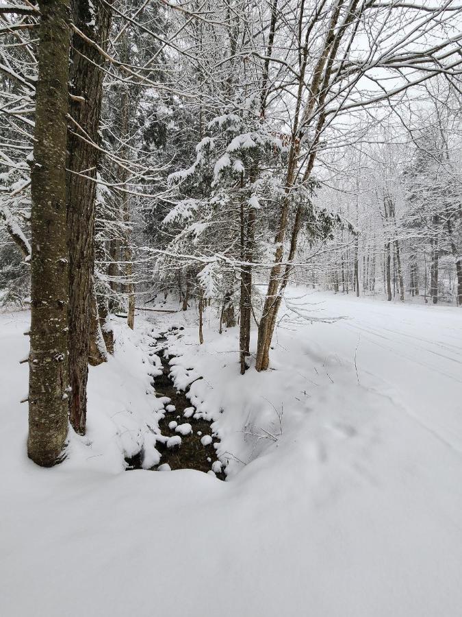 Ski In/Out Spruce Glen Townhomes On Great Eastern Trail 基灵顿 外观 照片